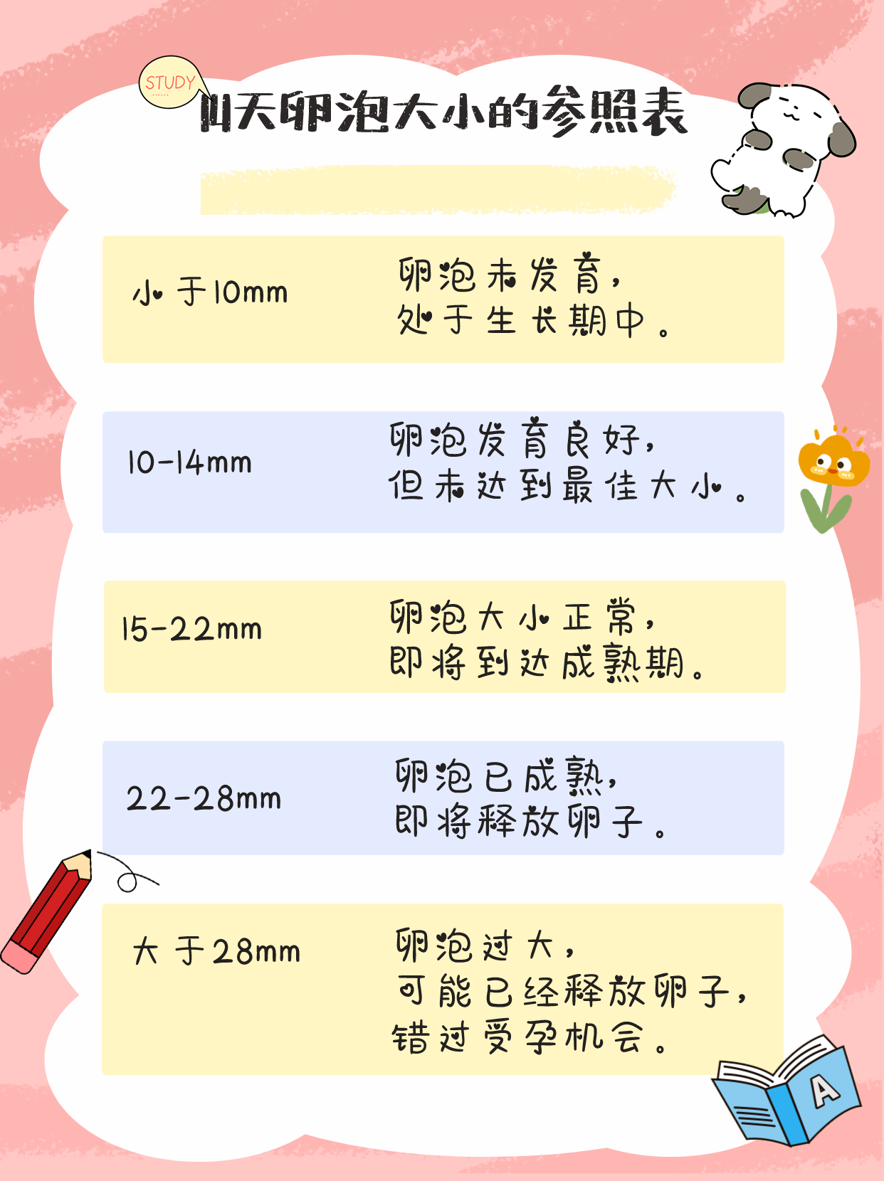 对照表mm卵泡发育图解卵泡多大算正常子宫内膜与卵泡发育大小的正常