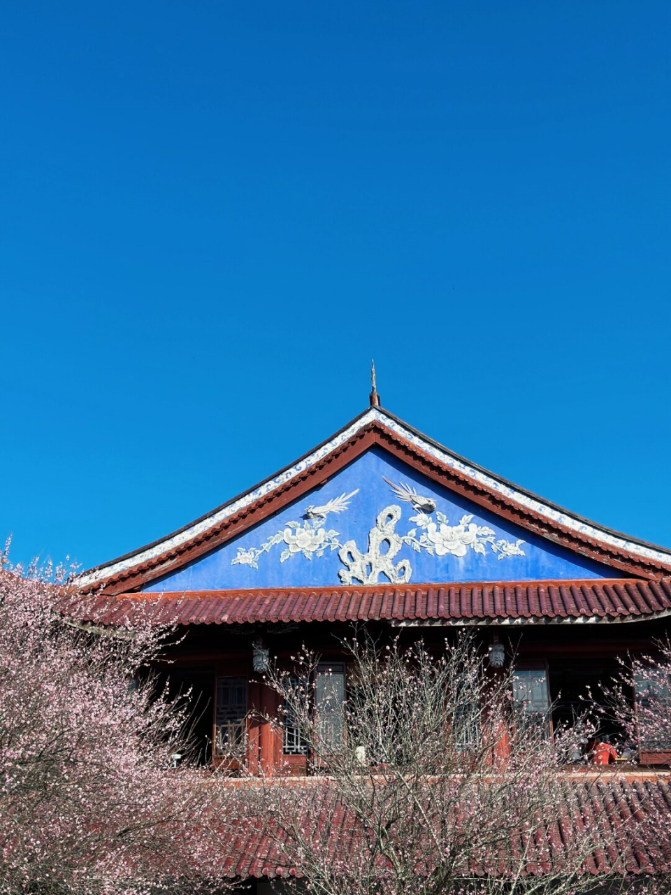 这些梅花在冬日的阳光下更加娇艳,为寂静的山寺增添了一抹生机勃勃的