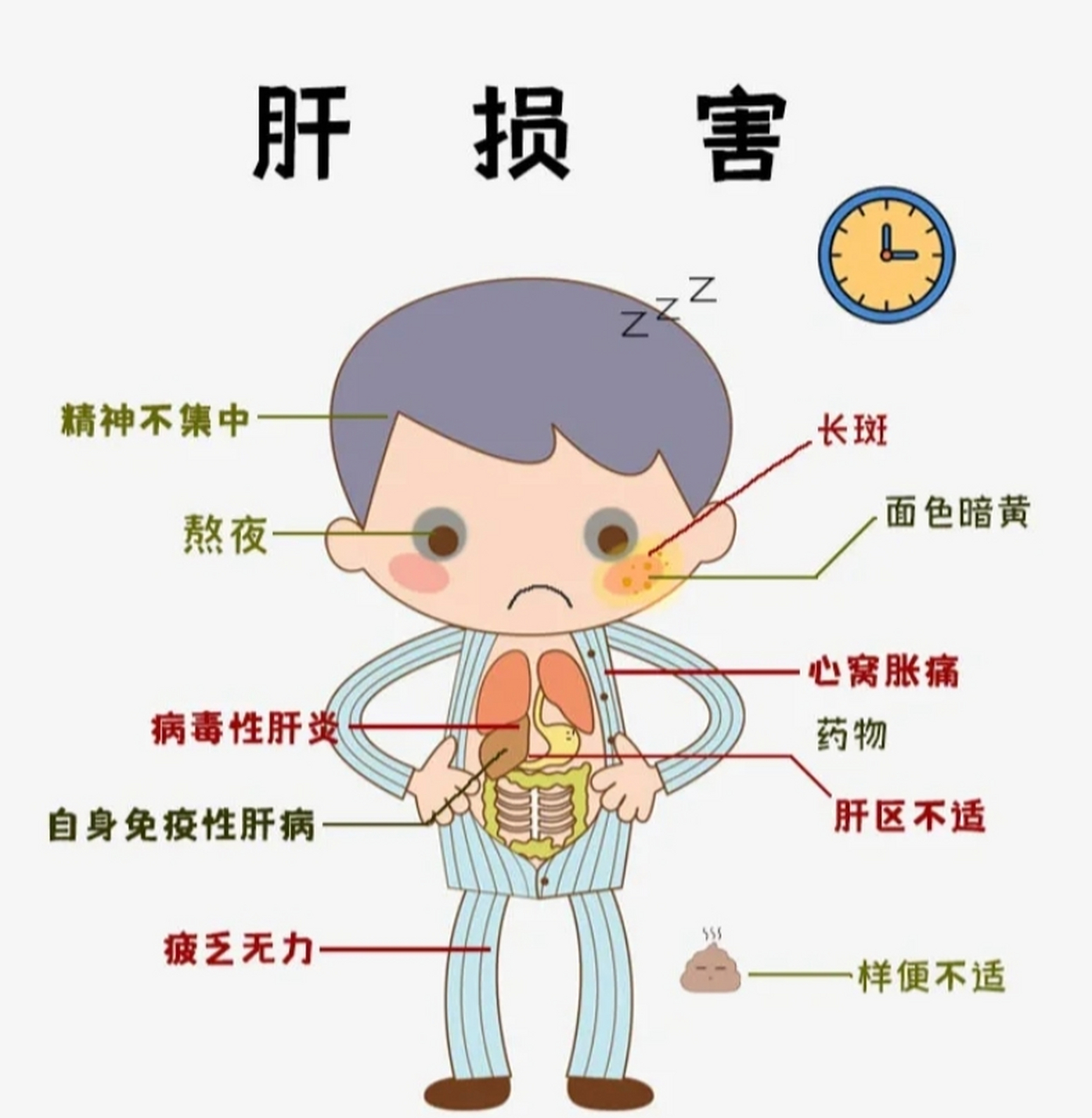 肝区不适的位置图图片