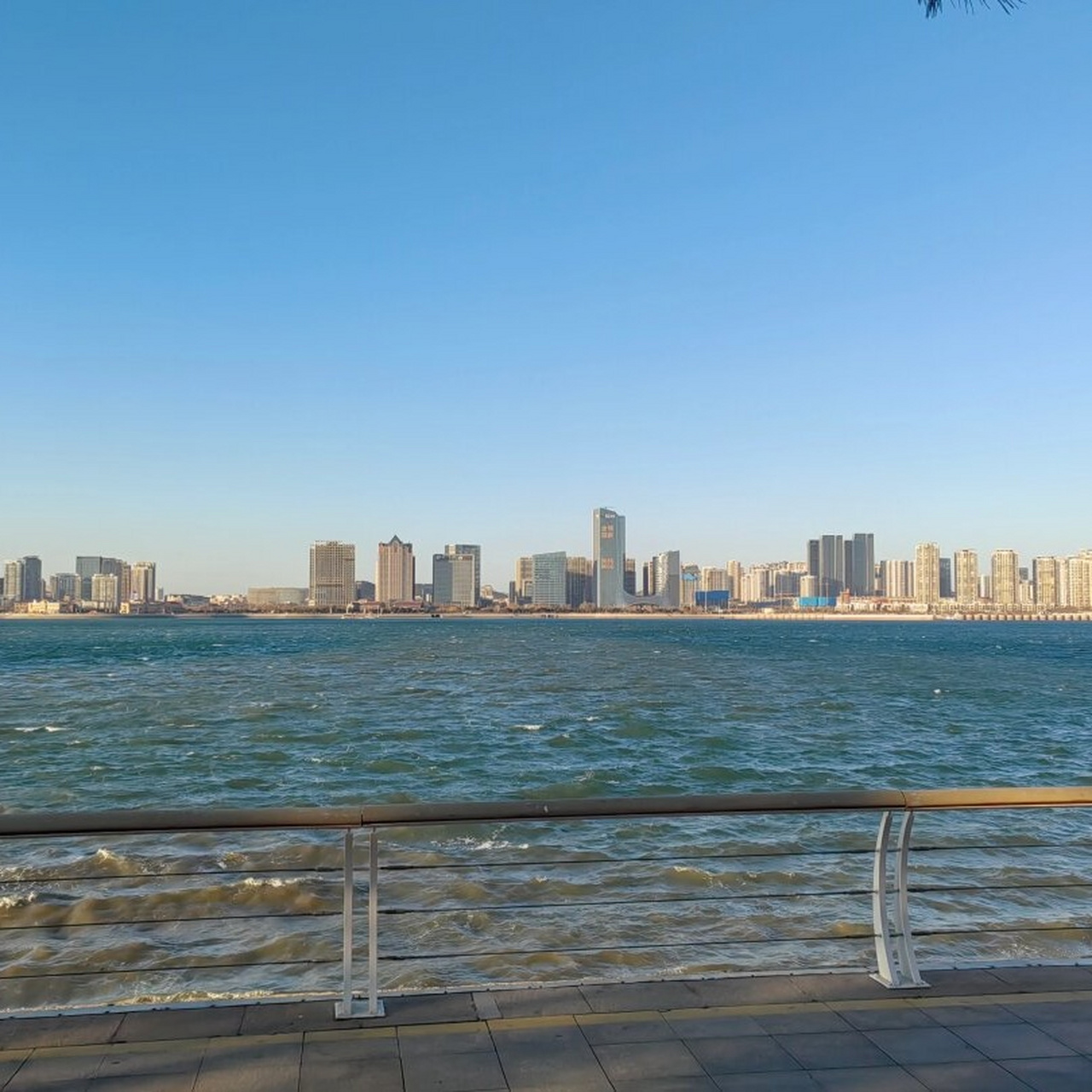 青岛唐岛湾湿地公园是一个迷人的地方,它位于青岛市西海岸新区,是一