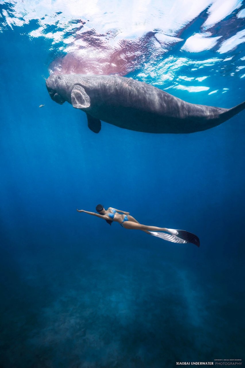 哇塞,你终于见到了现实中的美人鱼!真是让人羡慕啊