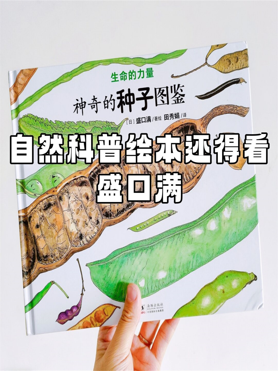 自然科普绘本还得看盛口满  92 《神奇的种子图鉴》  适合年龄:4岁