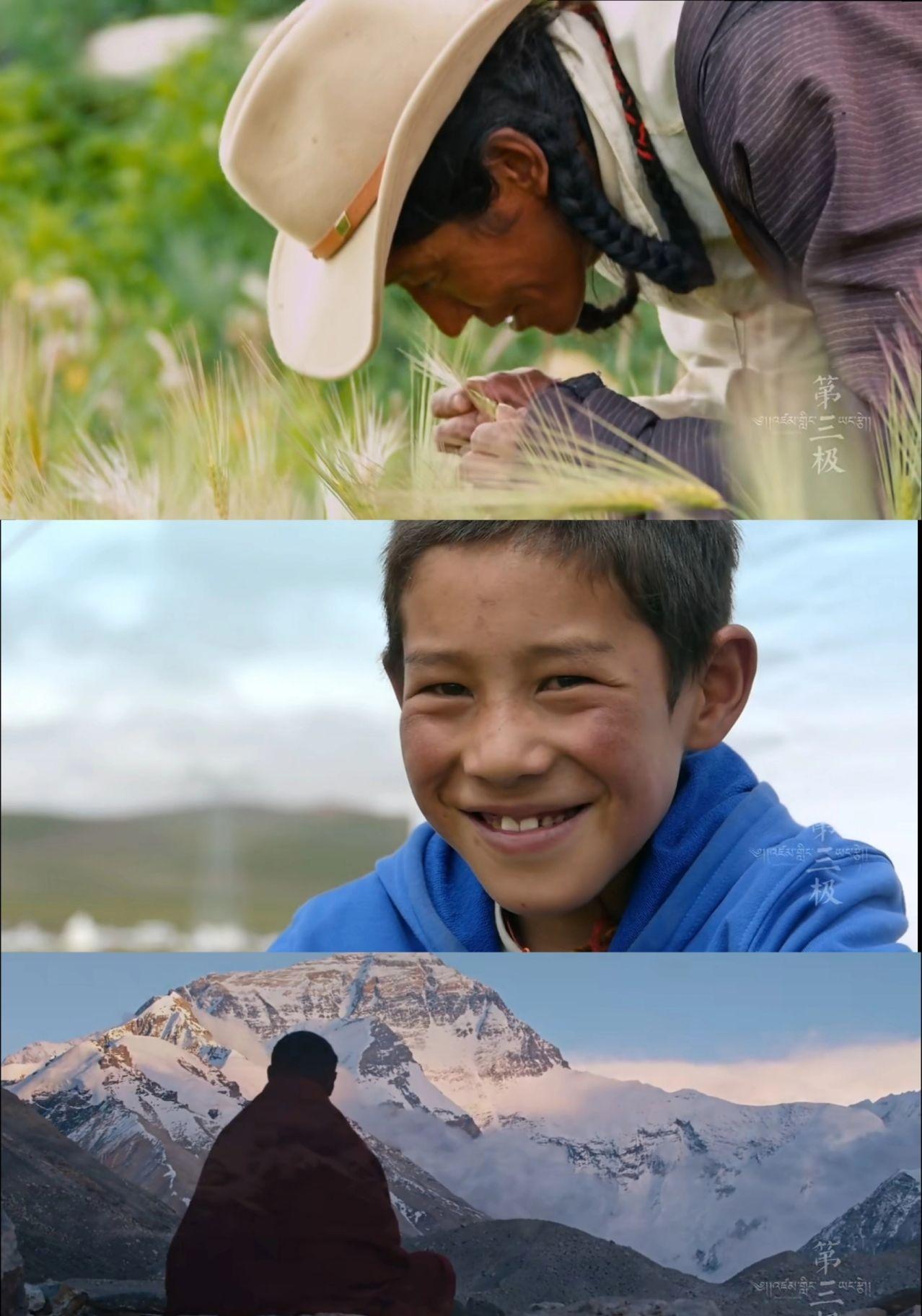 9  接近满分的神级纪录片, 美到无法用语言来形容,随手一拍都是大片