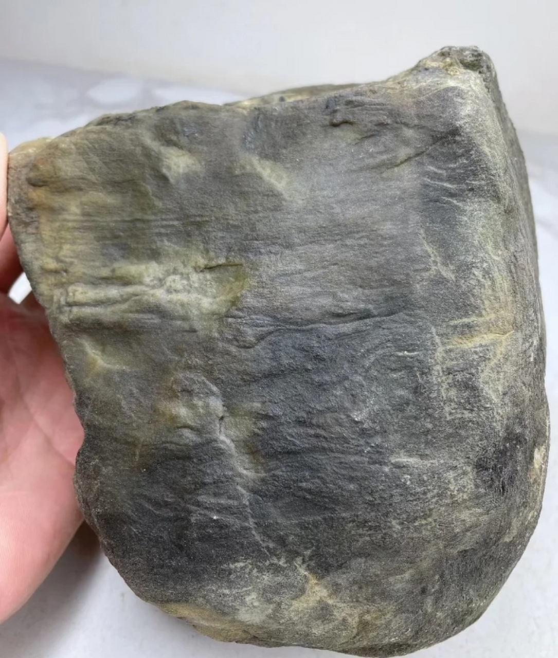 虽然蟒带是翡翠原石中常见的特征,但并不是所有的蟒带都有颜色.