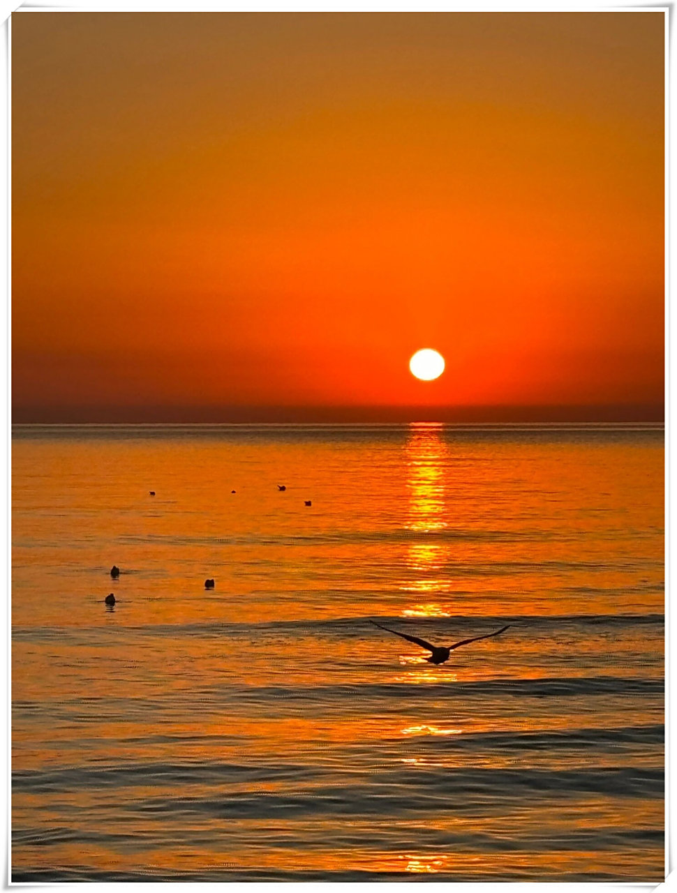 海边日出真的很震撼  在海边等待那一刻,当第一缕阳光跃出海平面,金色