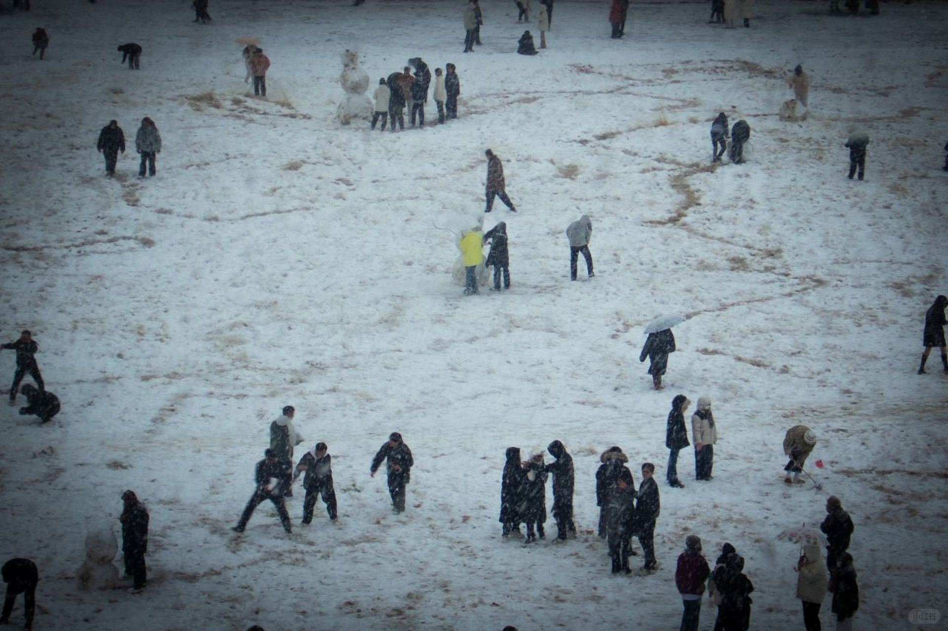 北方人打雪仗图片