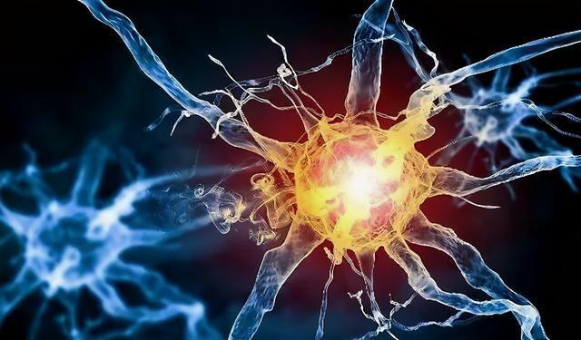 哈尔滨神经内科医院,植物神经紊乱挂什么科