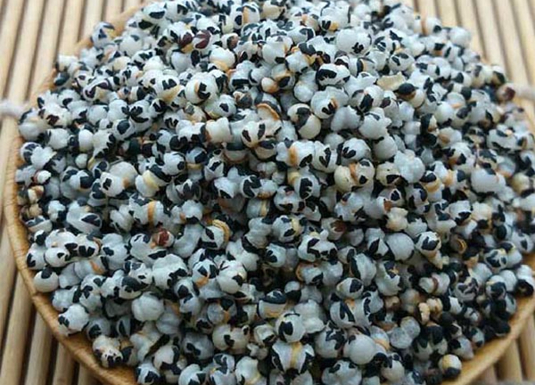 王不留行:亦称"妇女之友",其功效妙用与食用禁忌你知道吗?