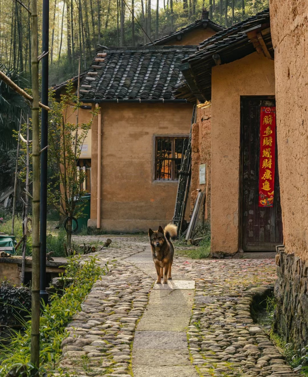 被风雨沧桑洗练成一道远古风景的古村落—后畲