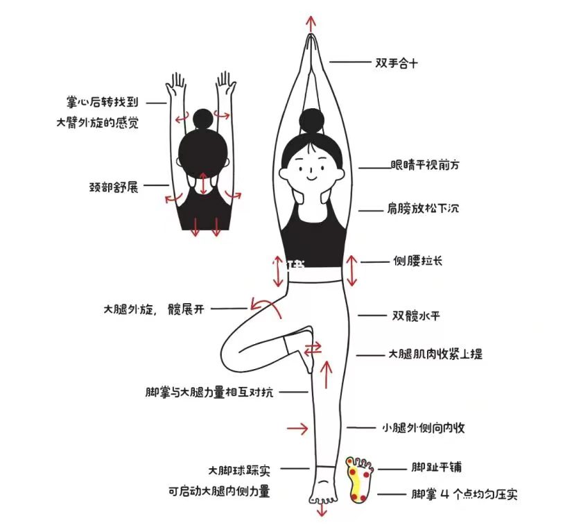 瑜伽精典体式——树式