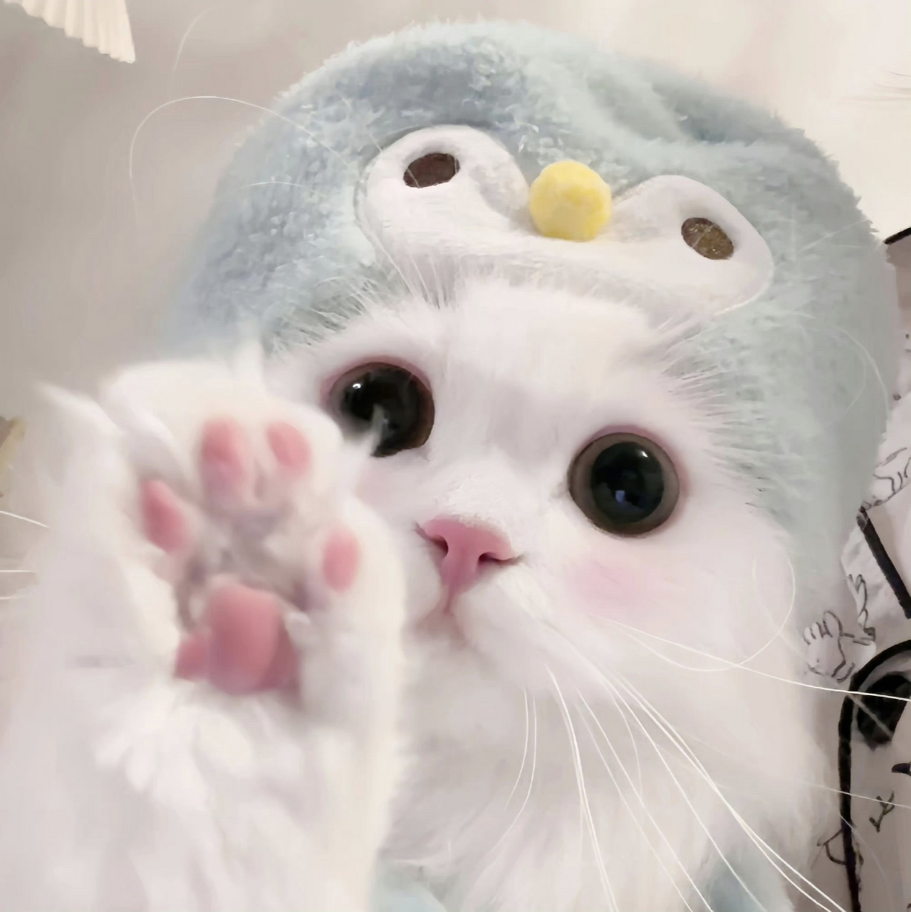 wechat/小猫头像🐱 世界破破烂烂,小猫缝缝补补 愿每一只小可爱都能