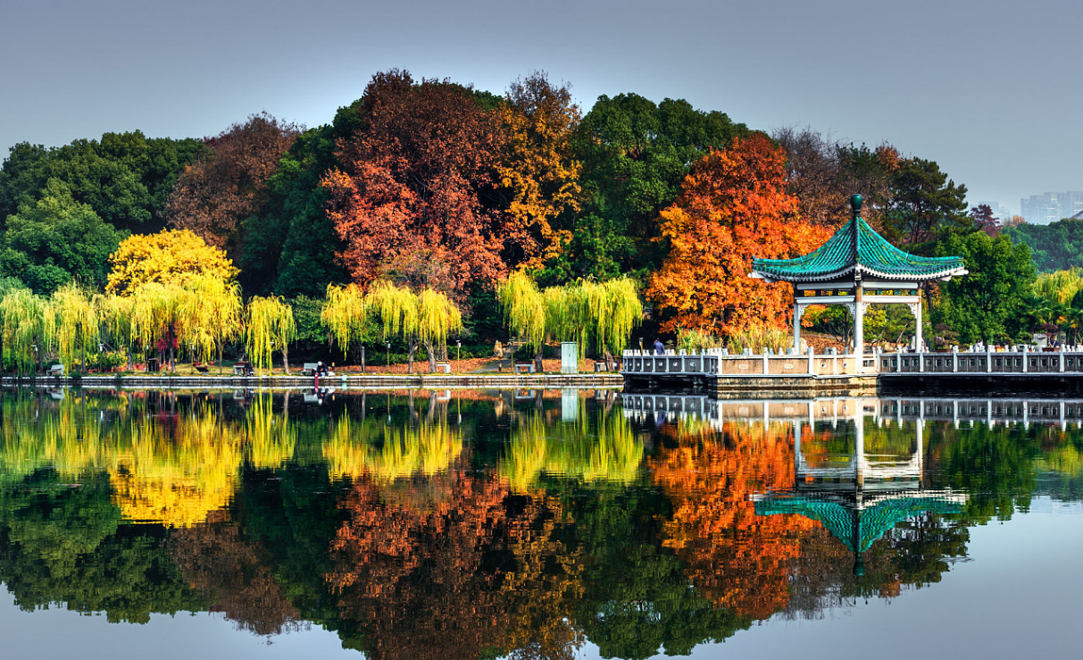 东湖风景图片大全图片