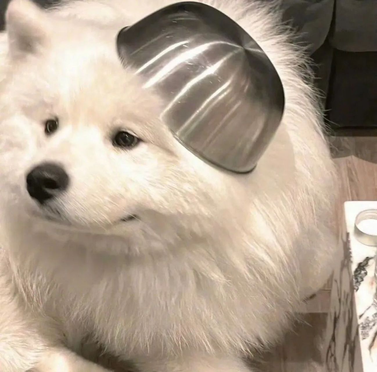 可爱沙雕狗狗头像 ​​​