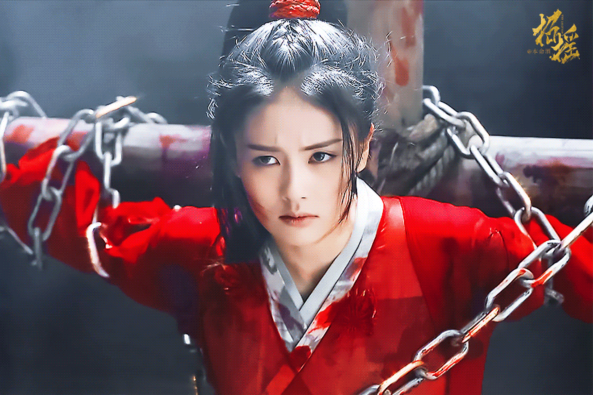 白鹿,和红衣绝对!