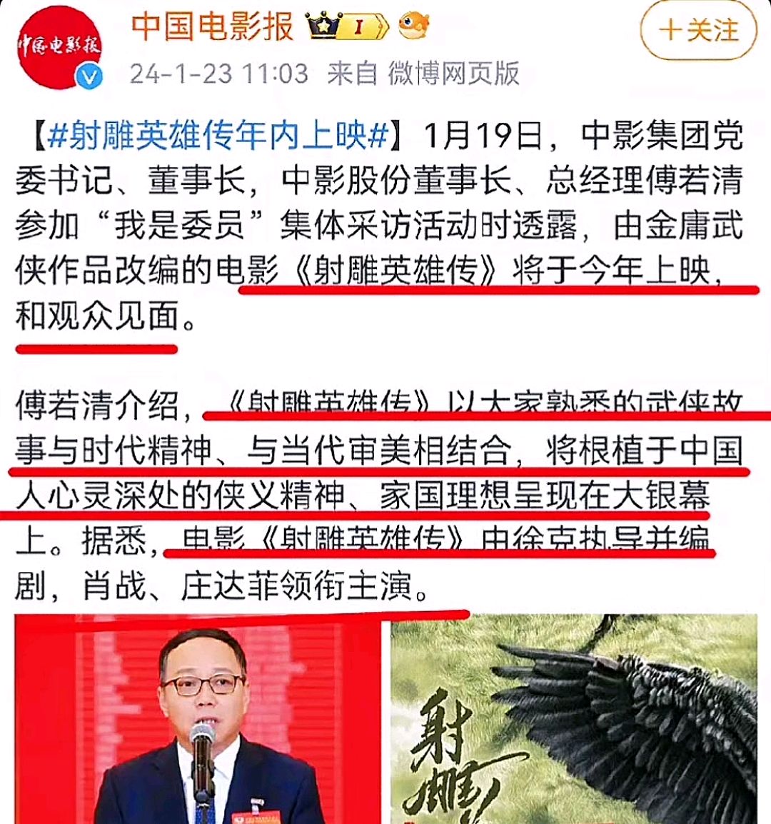 肖战档期图片