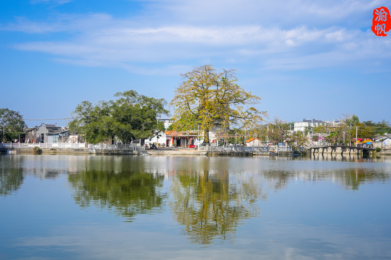 揭阳普宁的南溪水乡,被誉为广东的江南,拥有80多公里的内河和交错的