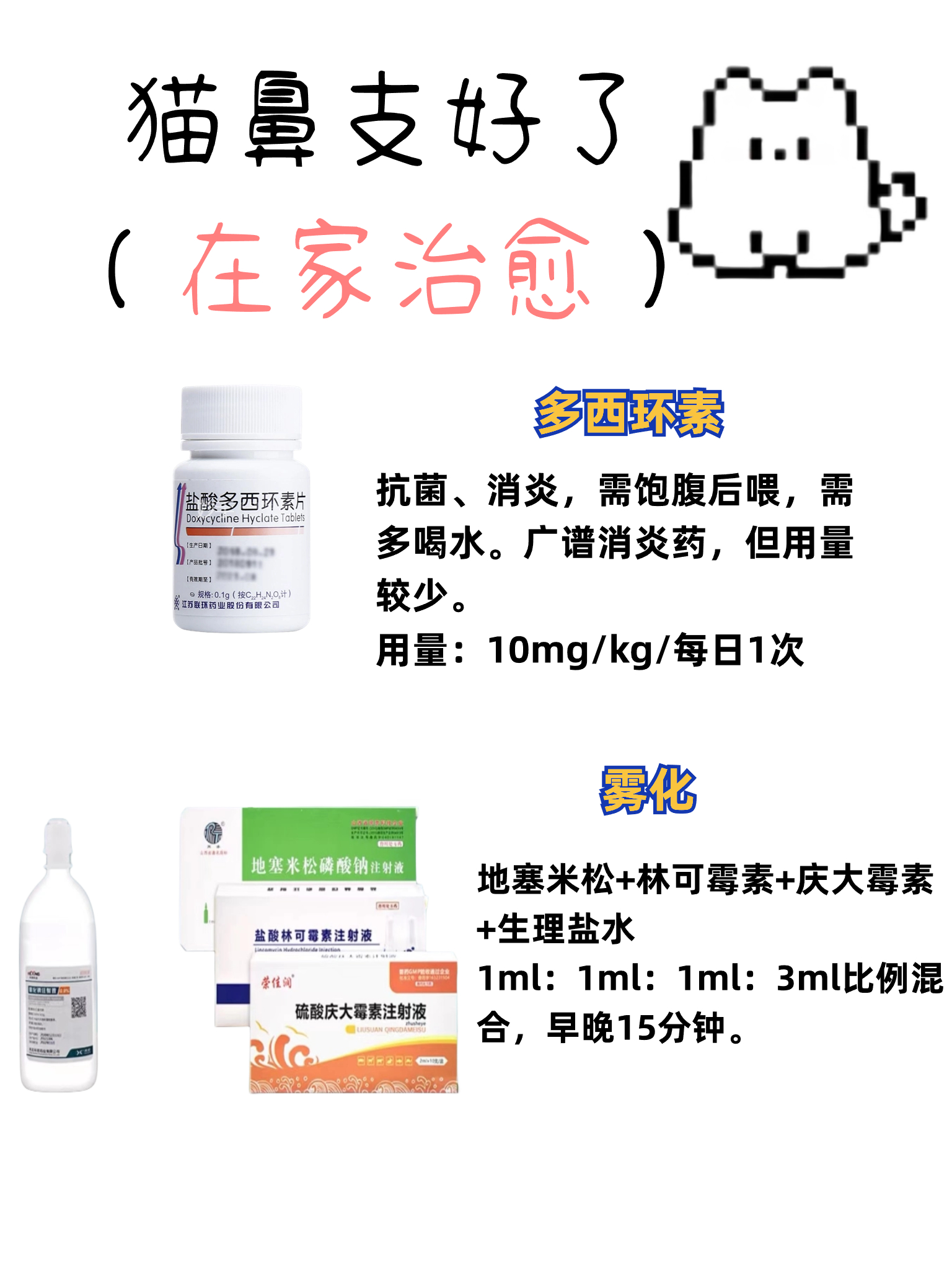 硫酸庆大霉素猫咪用量图片