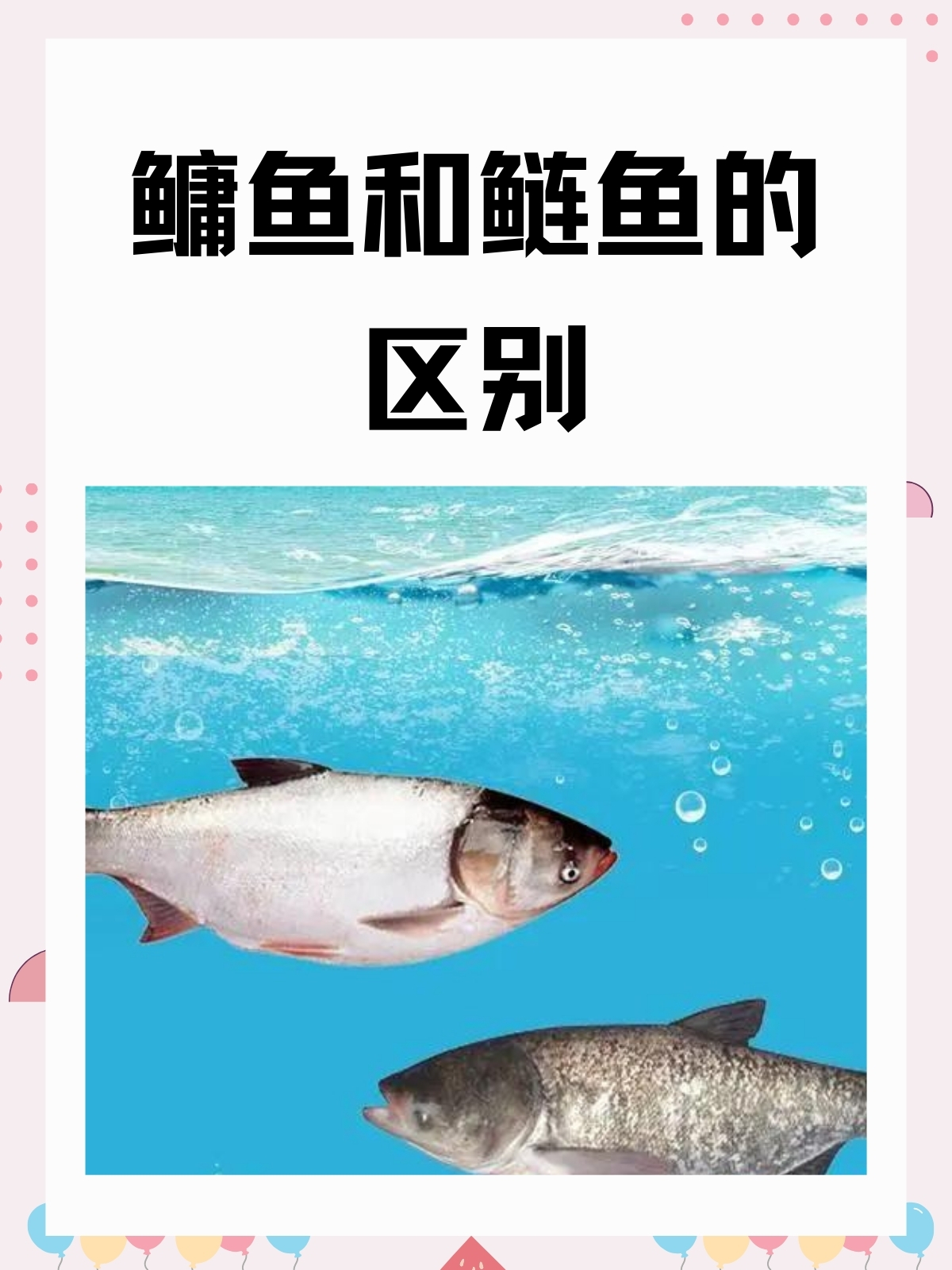 今天我要和大家分享一个有趣的话题——鳙鱼和鲢鱼的区别.