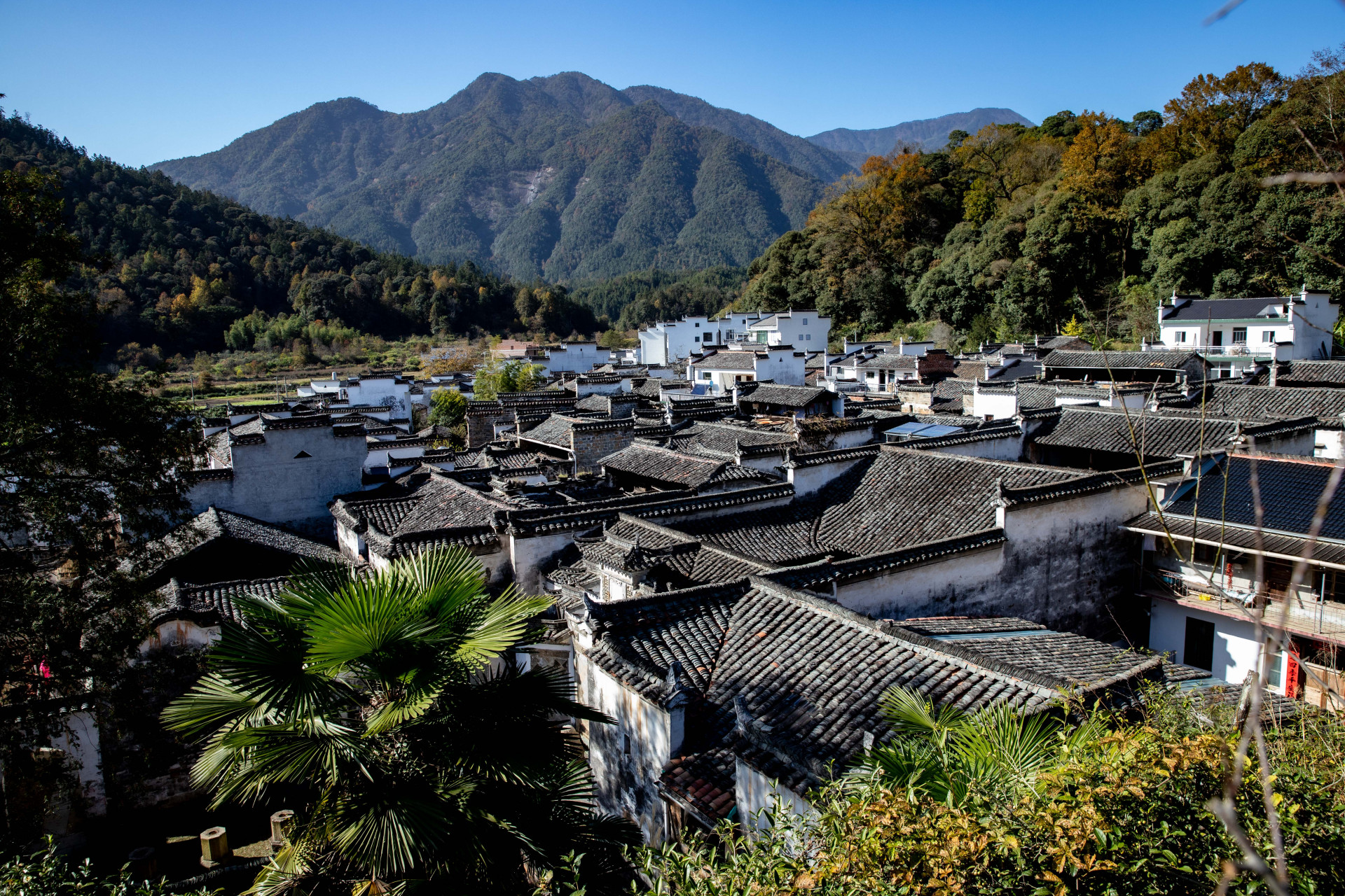 旅拍中国年# 婺源篁村,虽是旅游冷门景点,但古徽州文化有的内容它都
