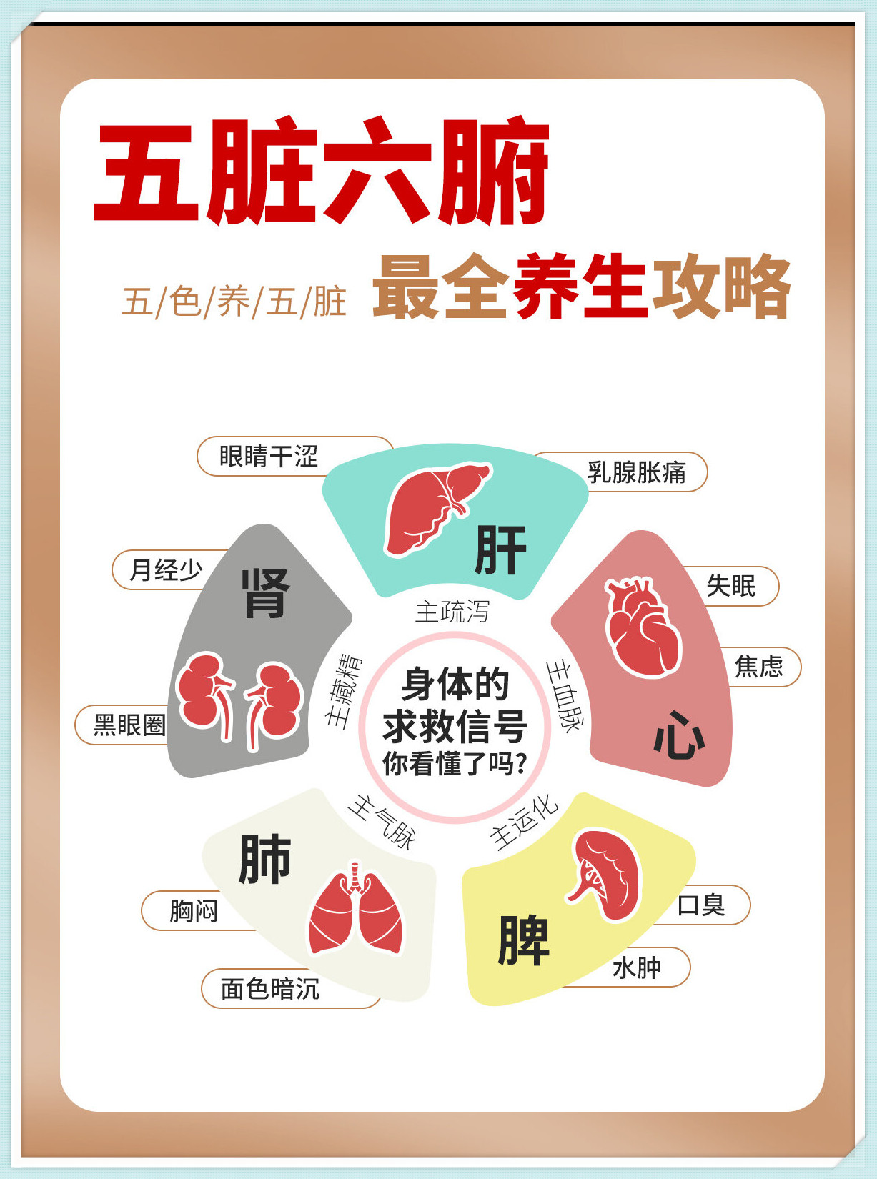 一旦出现问题 人体整体健康都会亮起红灯,所以平时不能忽略保养脾脏