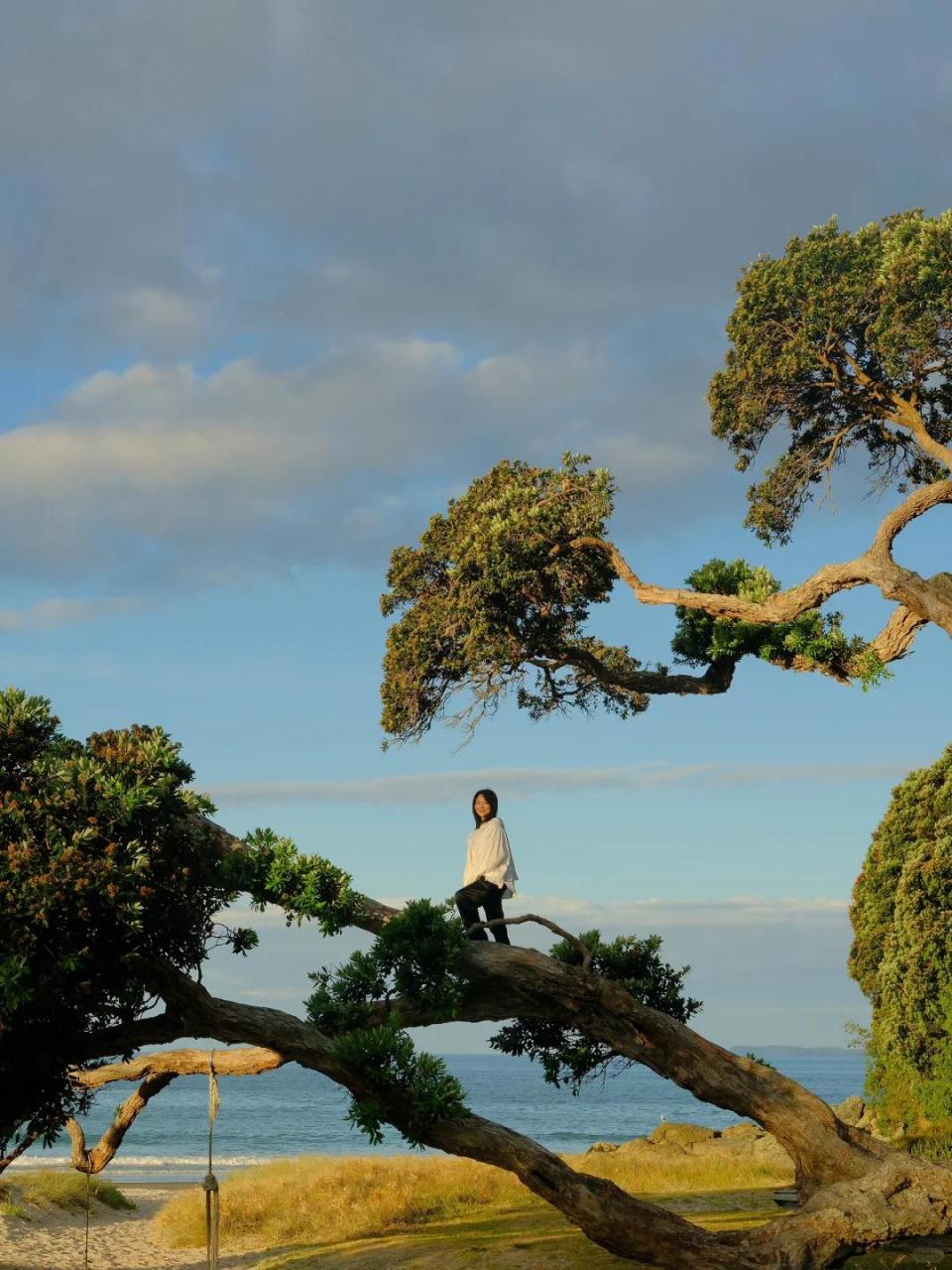 终于抽空回到了新西兰的小家,在北半球的冬天里,感受南半球的初夏 我