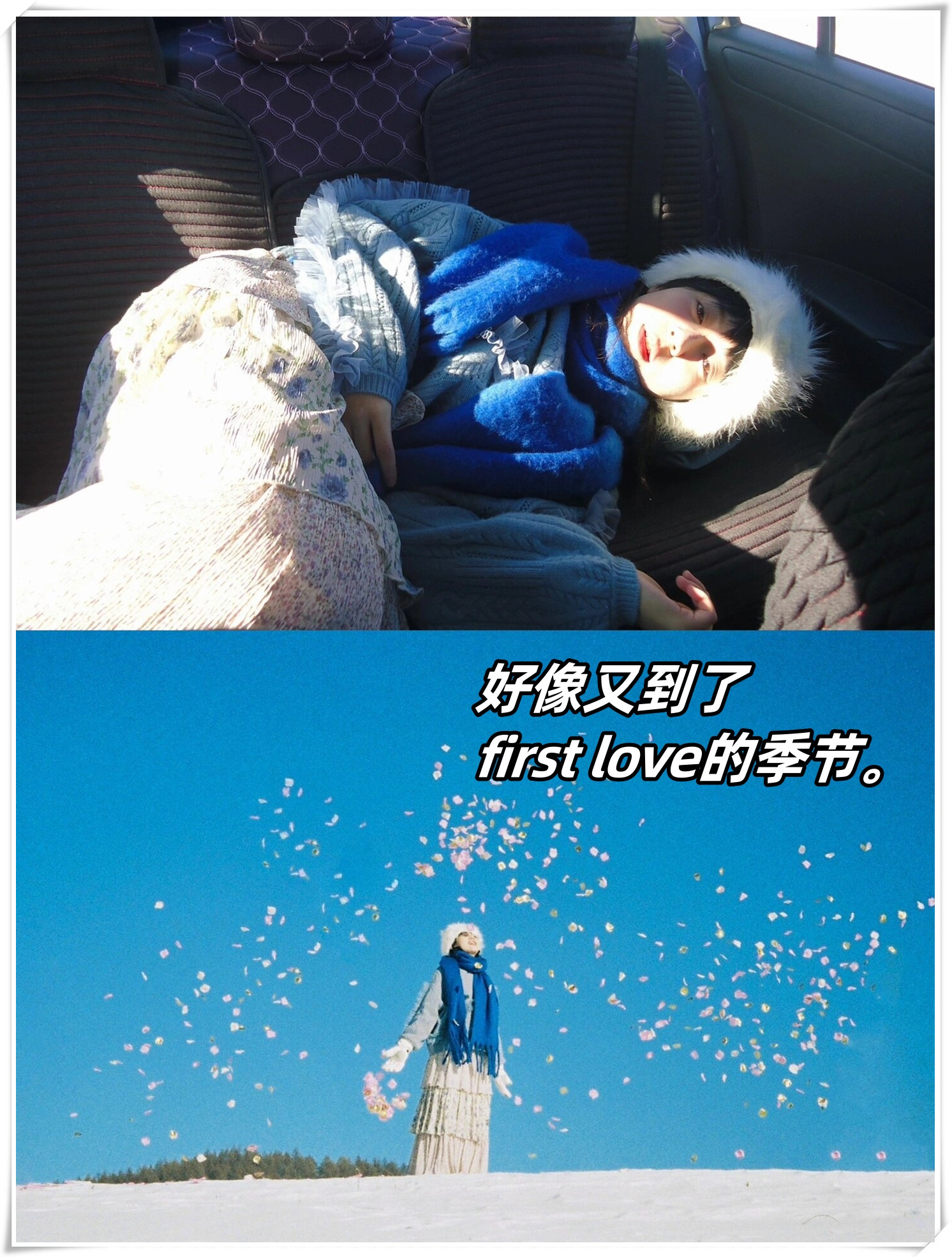 今年让我们一起再去看雪吧