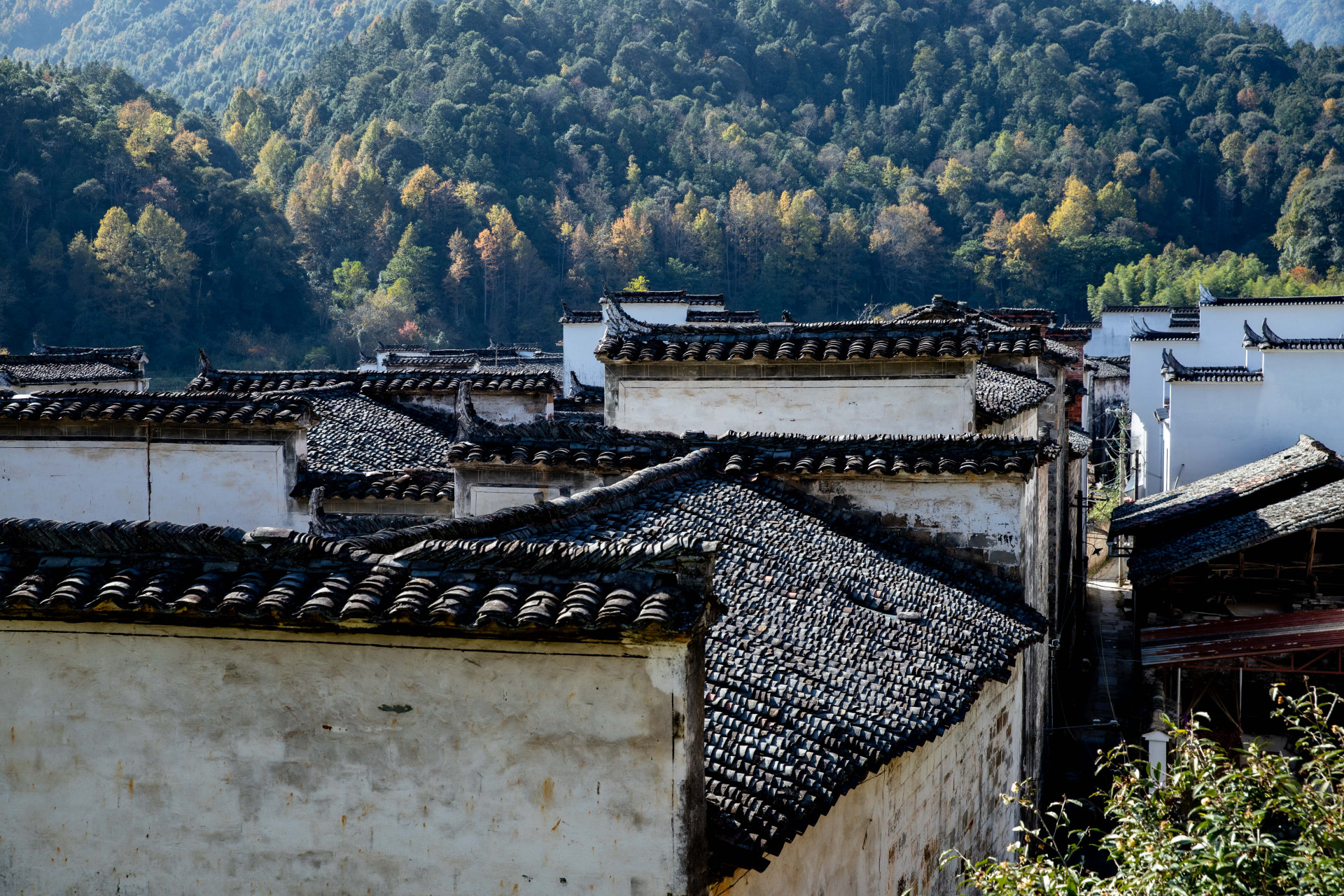 婺源最神奇的古村非它莫属,沱川乡的篁村,大家心中古徽州文化有的元素