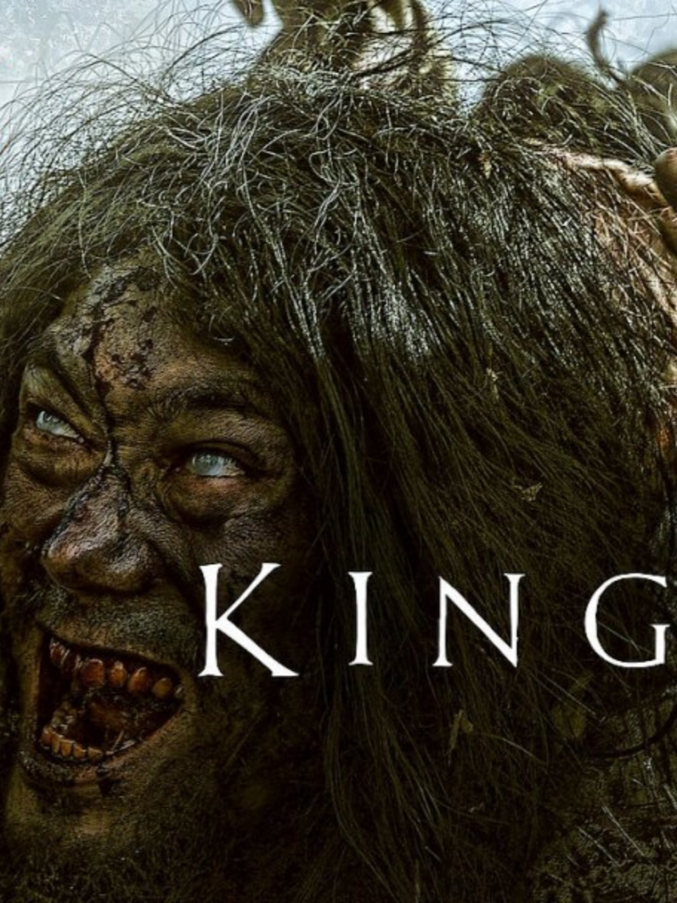 网飞出品:经典必看丧尸片  在一片被贪腐与饥荒笼罩的王国,国王离世的