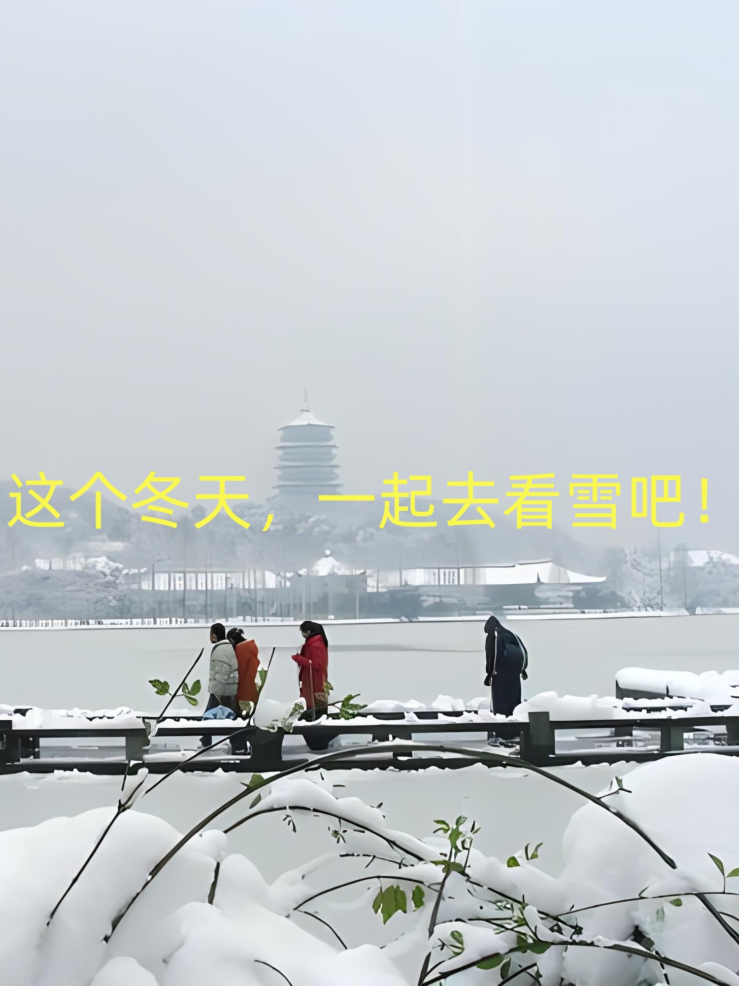 泰顺看雪图片