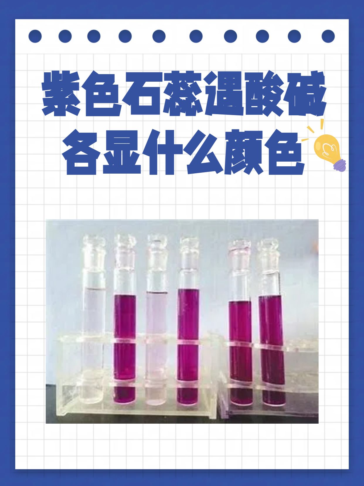紫色石蕊遇酸碱各显什么颜.@贪吃的知识小能手的动态