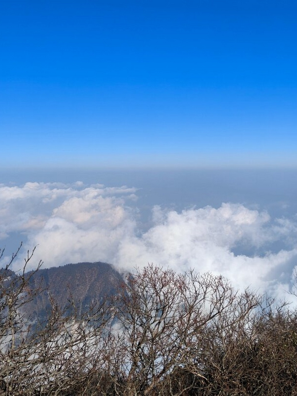 峨眉山云海金鼎图片