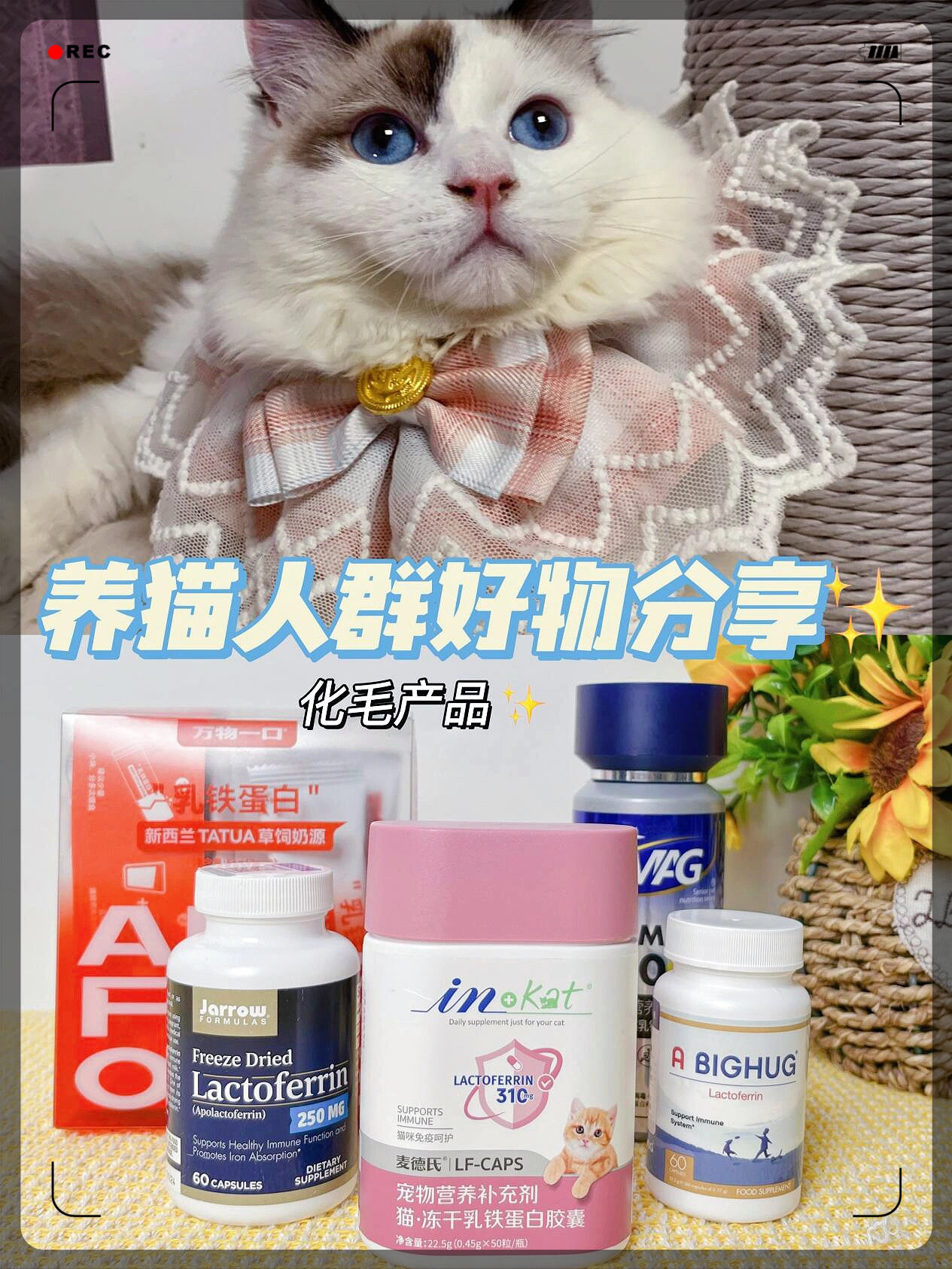 喵喵乳铁蛋白大测评来啦～