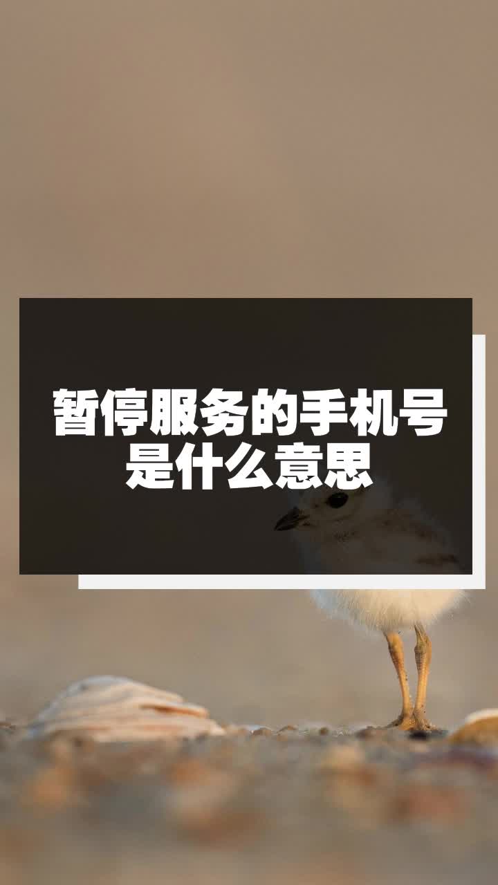 手机号码暂停服务是怎么回事