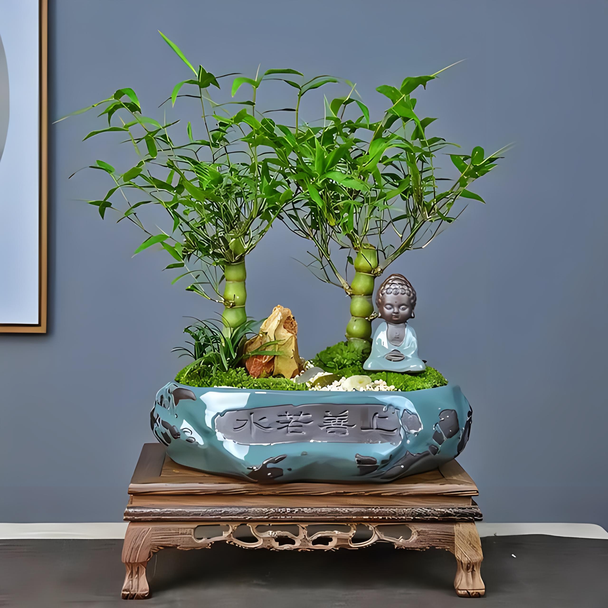 佛肚竹叶子发黄是什么原因?带你了解养盆栽佛肚竹那点事