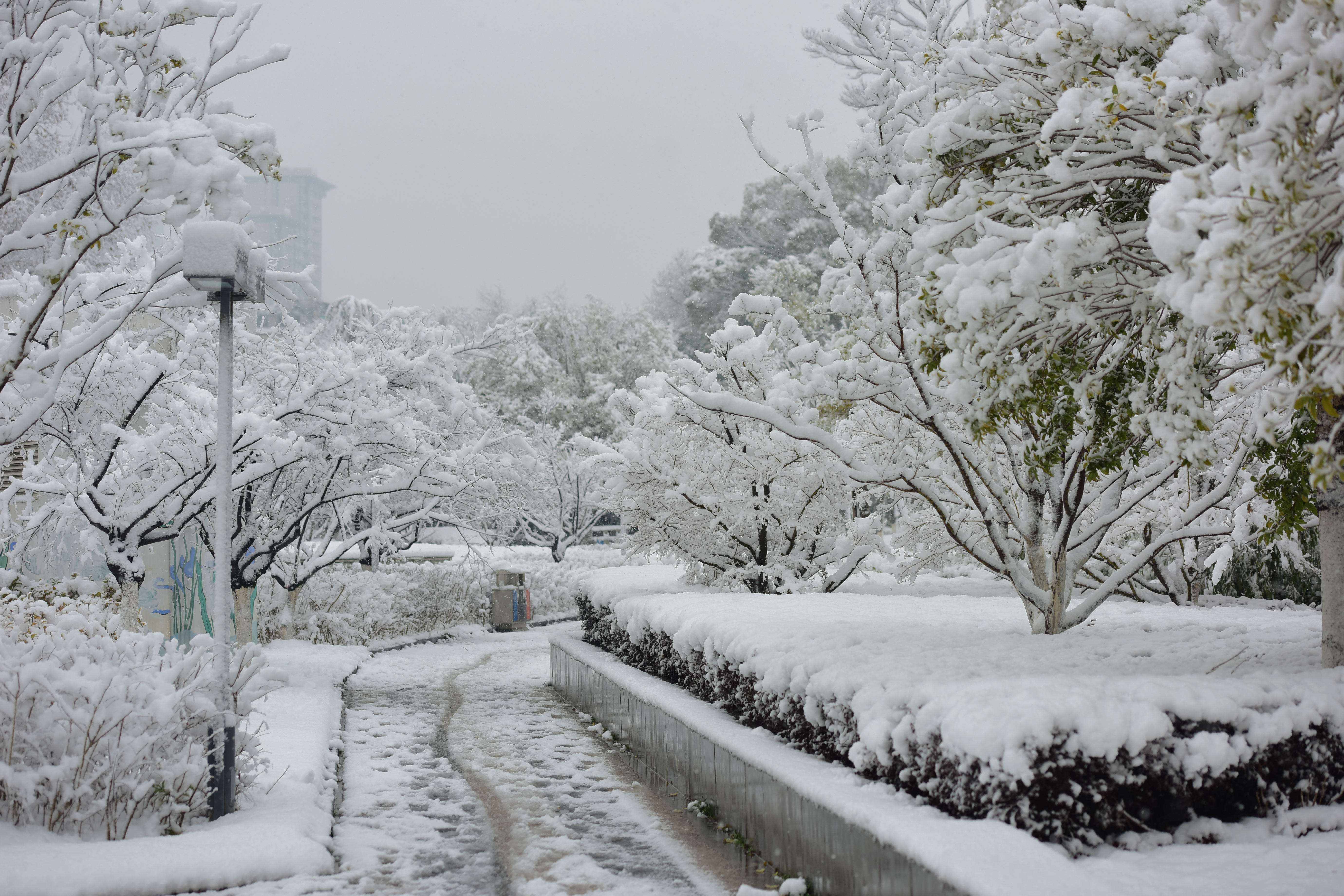 南昌雪景图片