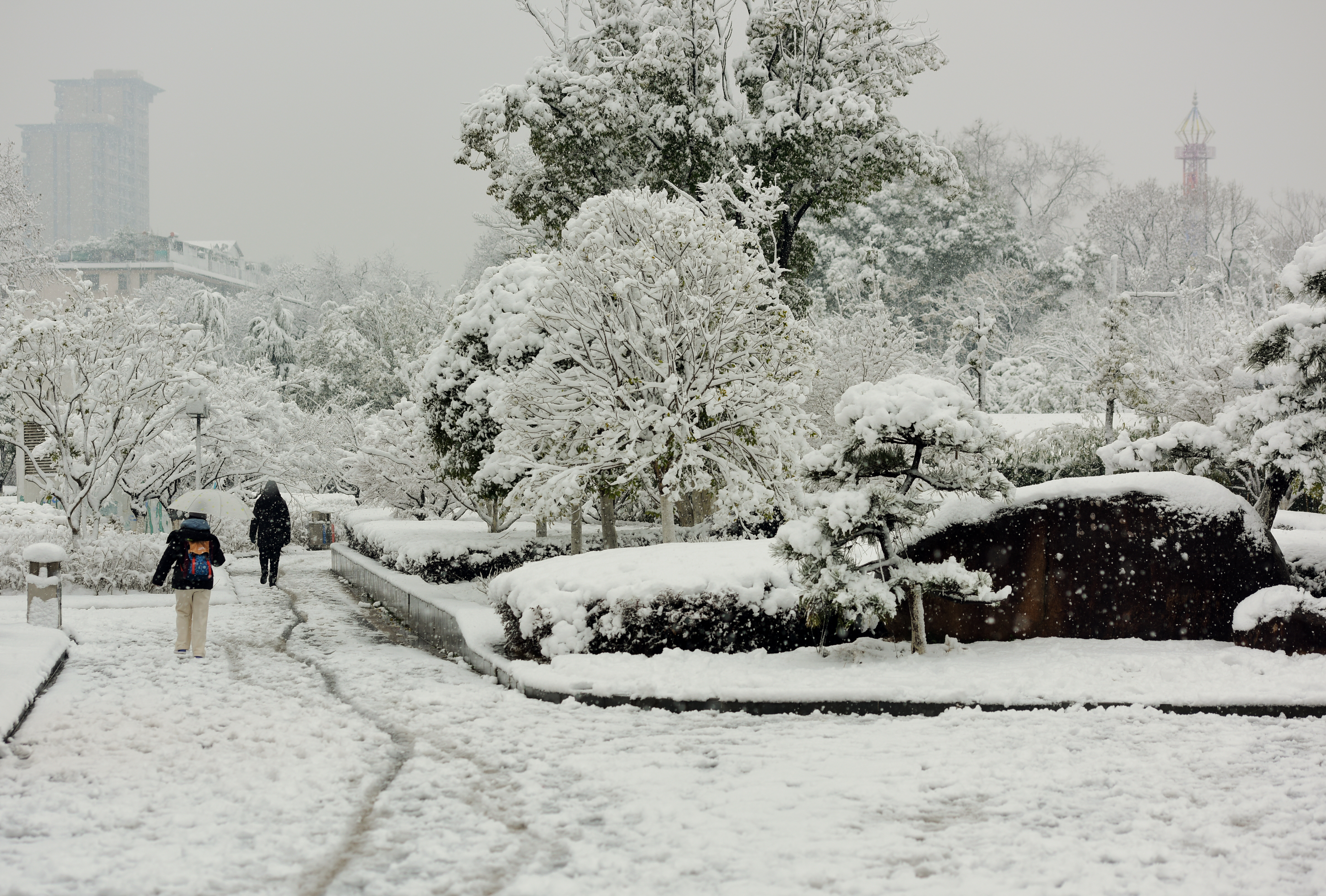 江西雪景最美的地方图片