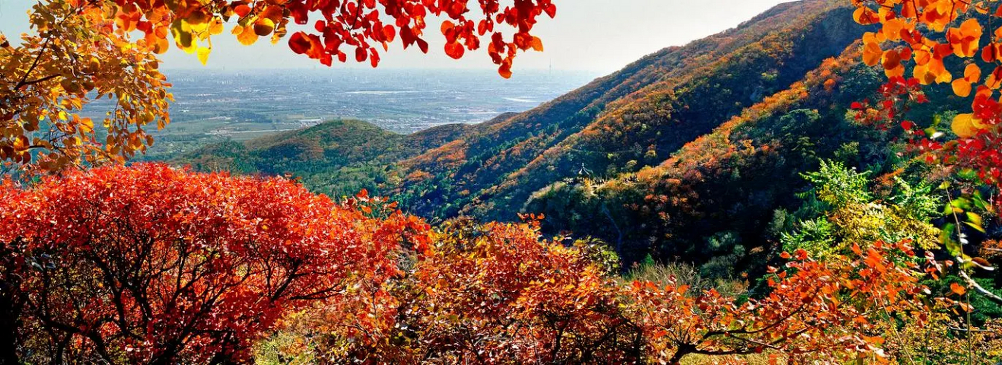 十月份北京香山图片图片