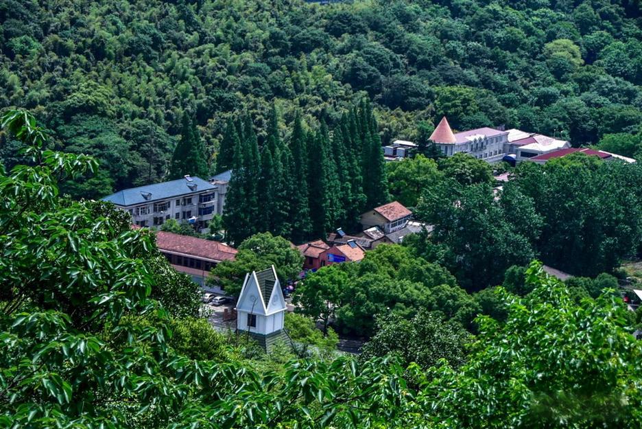 松江有哪些旅游景点好玩的地方