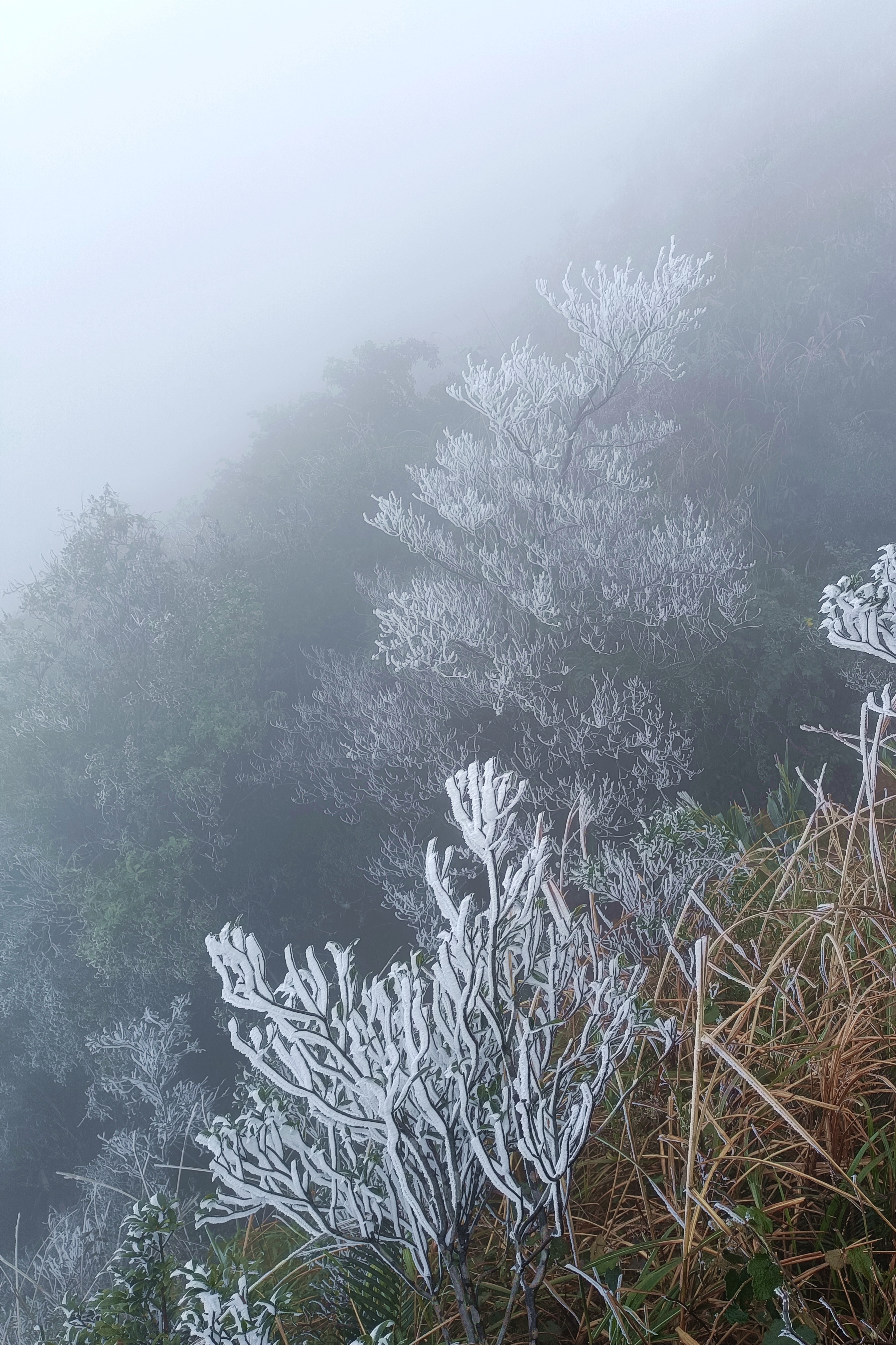 武宣双髻山图片