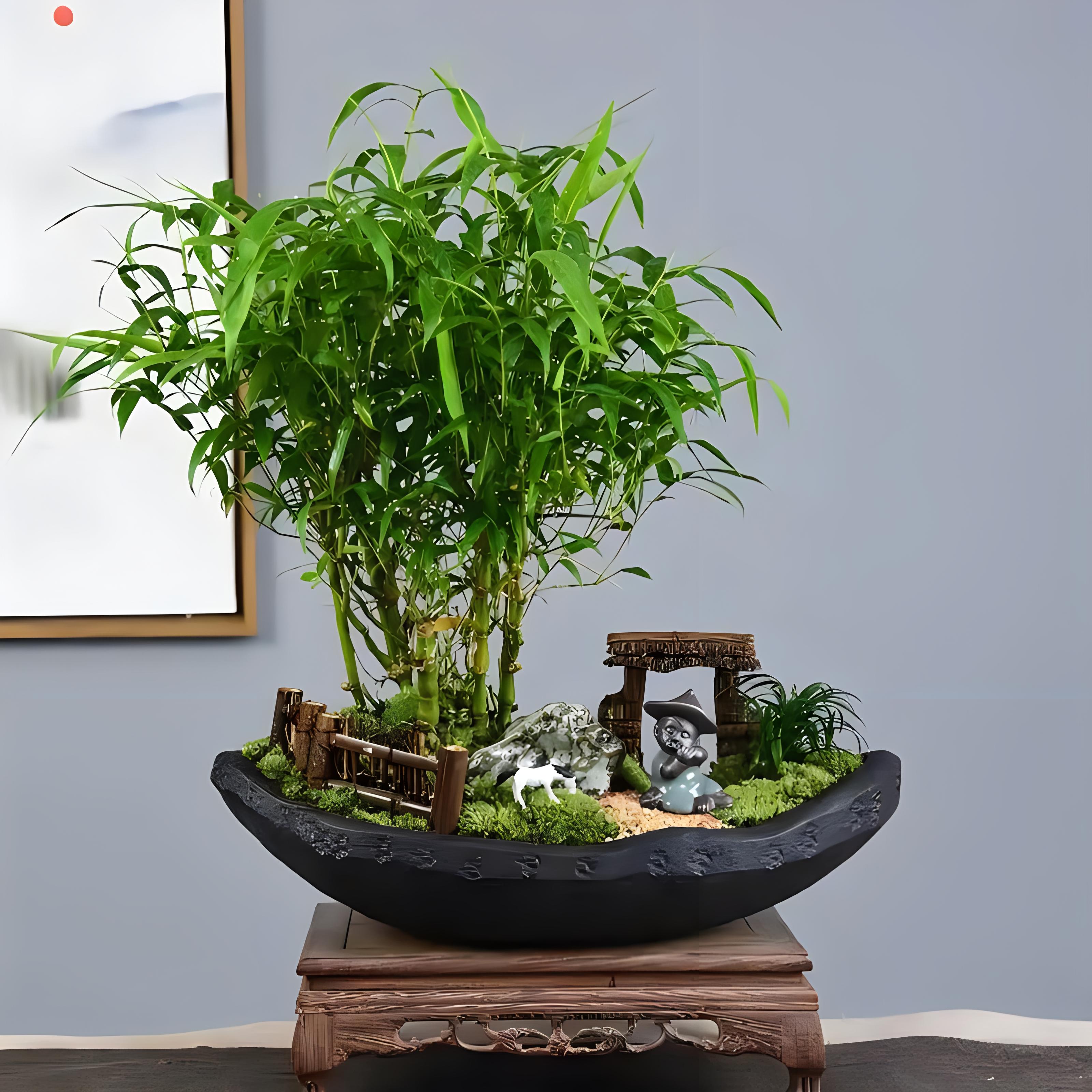 佛肚竹怎么养才能越养越绿?带你了解养盆栽佛肚竹那点事