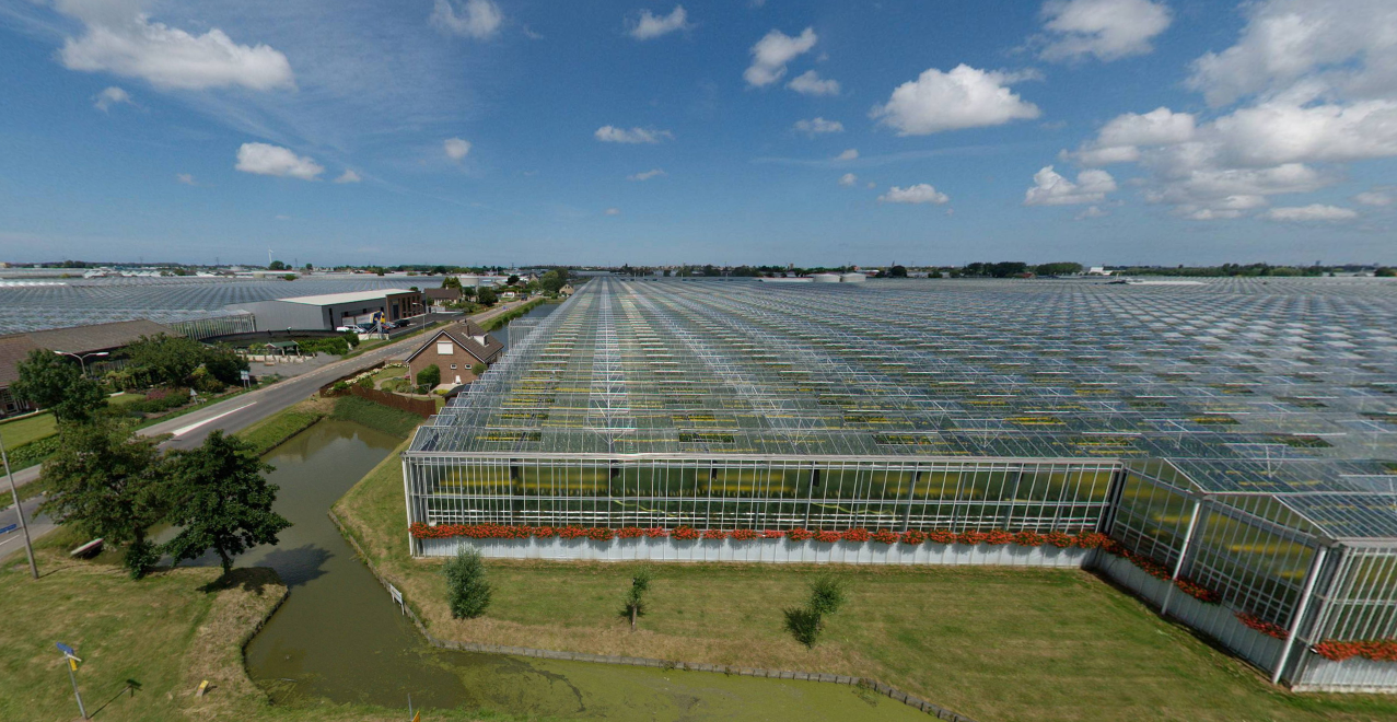 荷兰:智能玻璃温室大棚领先世界先列