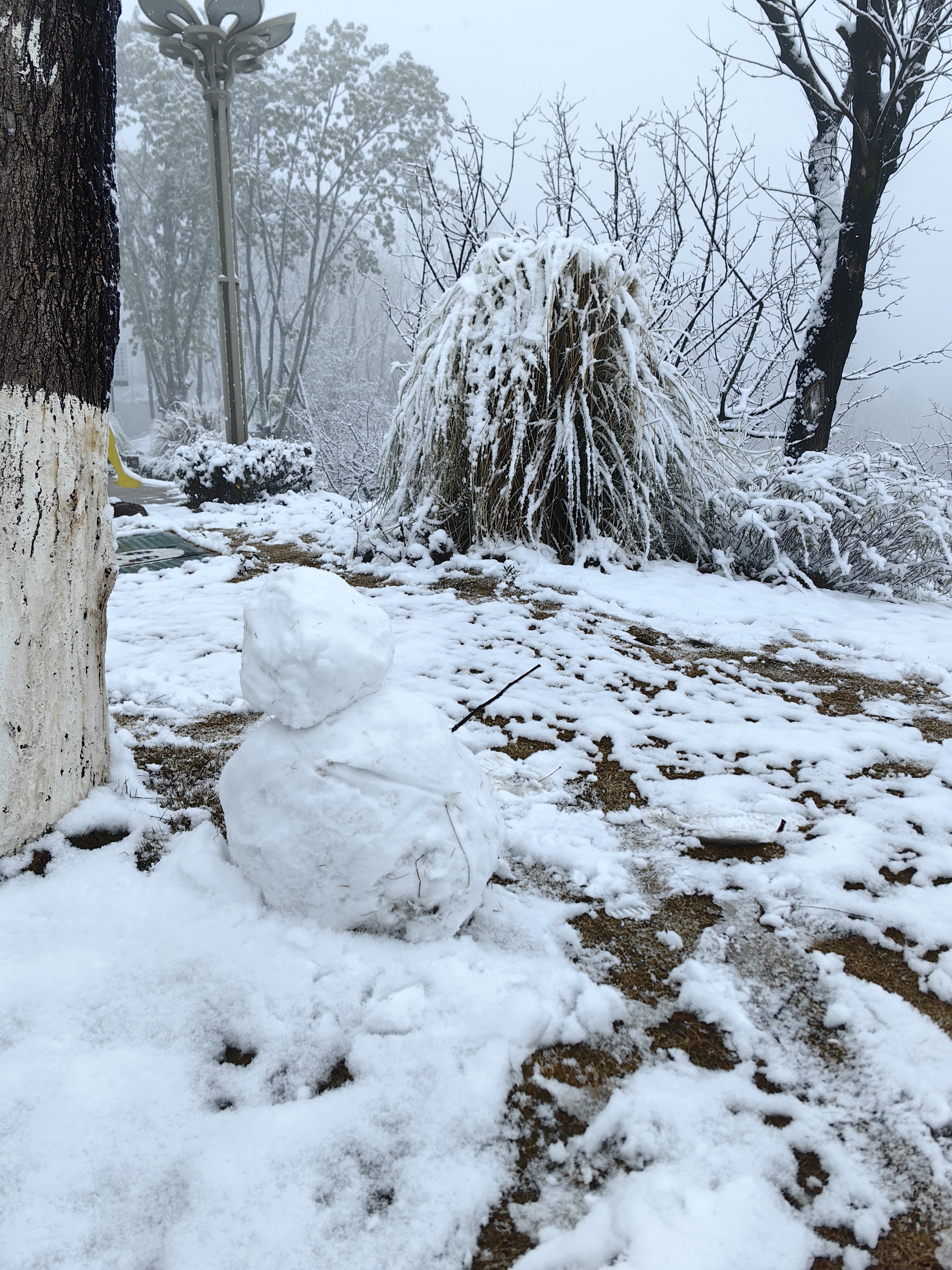 100%实拍成都雪景!绕城绿道美出新高度!