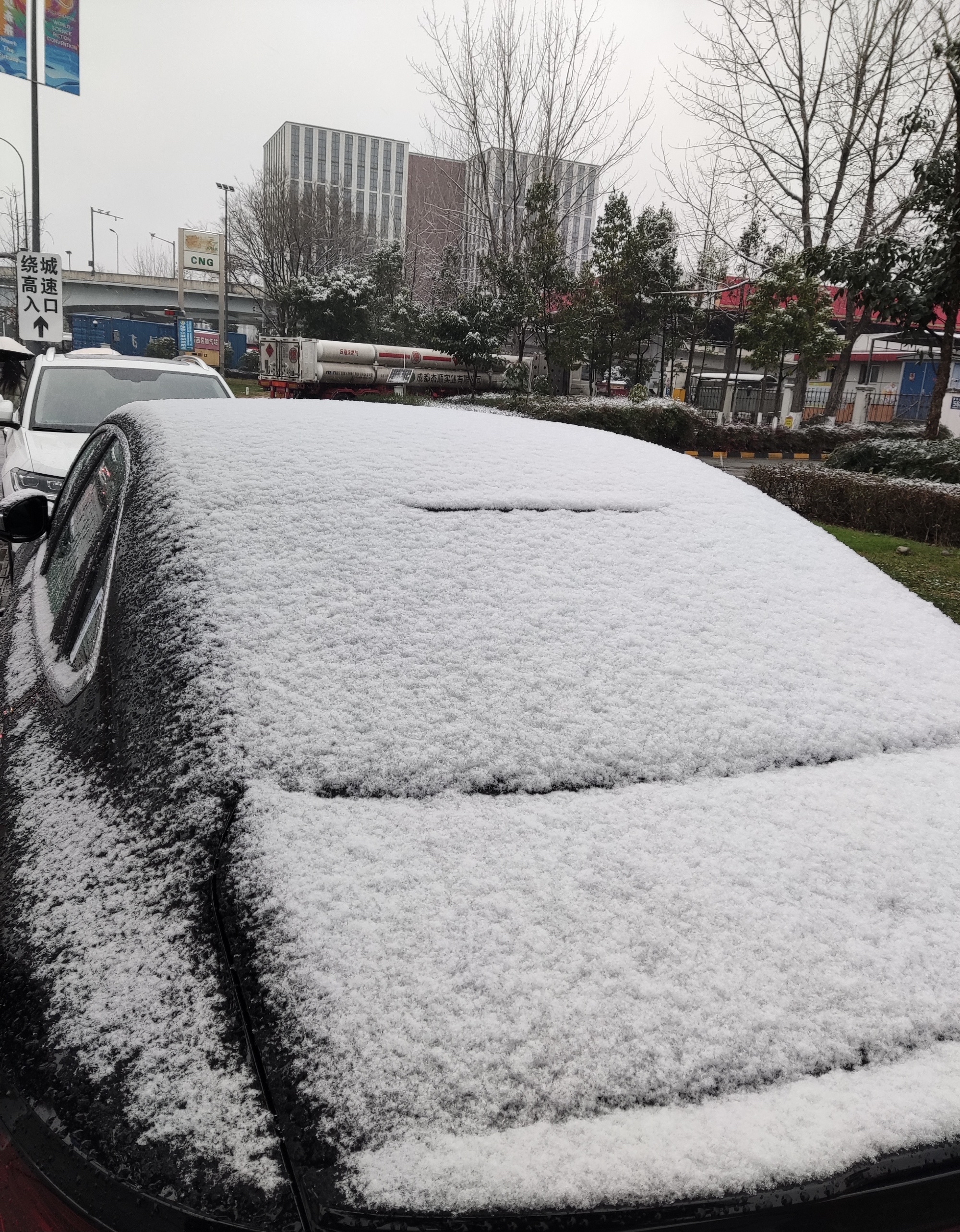 成都人民是真爱玩儿啊去往龙泉山的道路已经堵红了我导航了一下