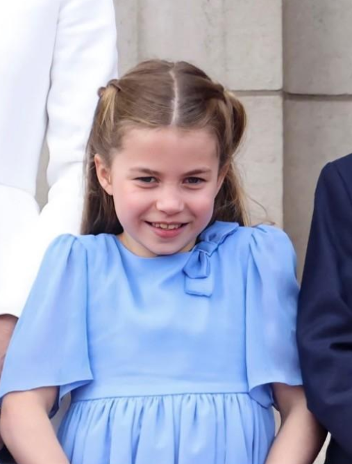 夏洛特公主外貌大变一颦一笑像戴安娜眼神凌厉仿佛女王再现
