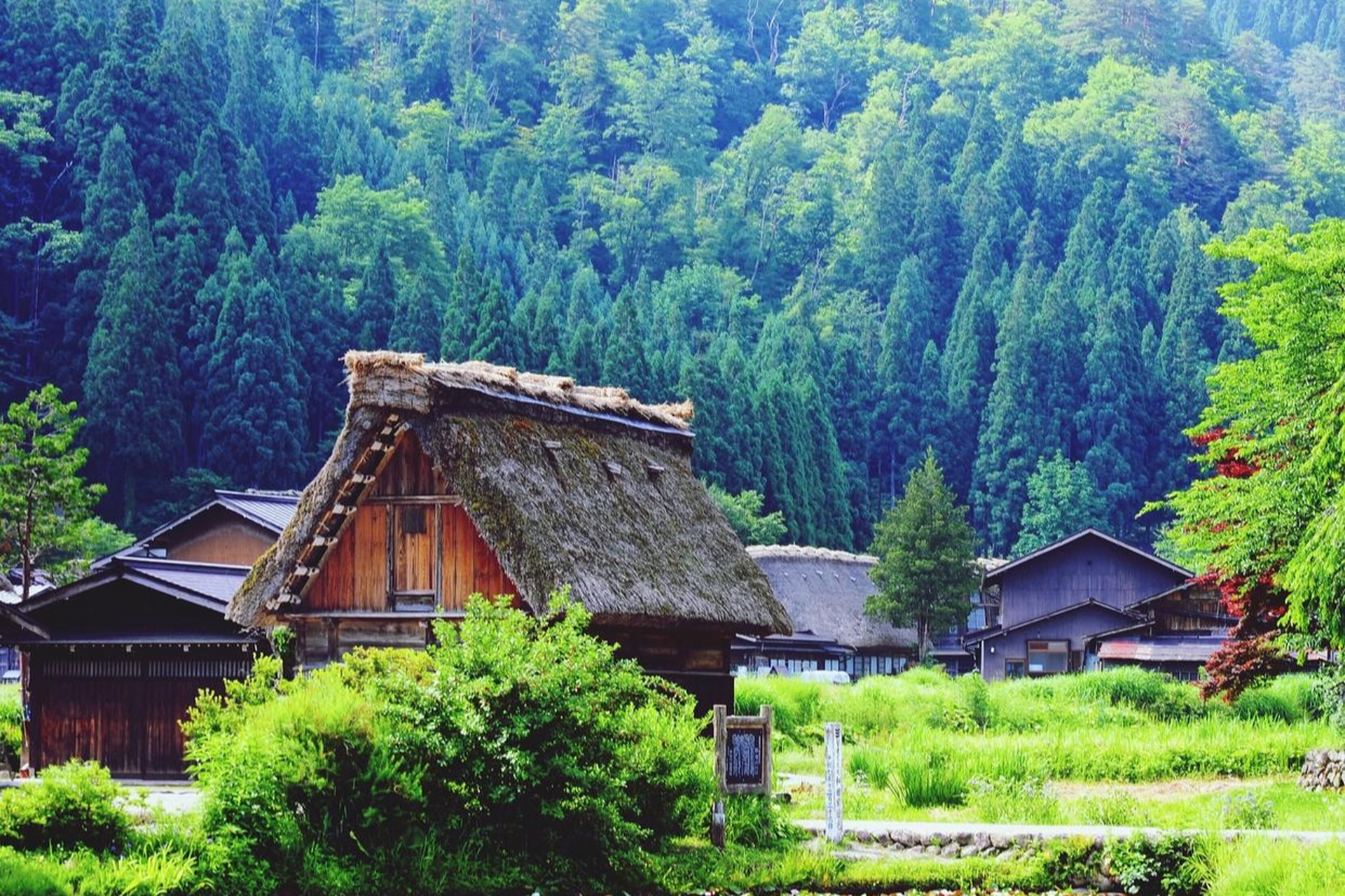 山村美景幽静图片