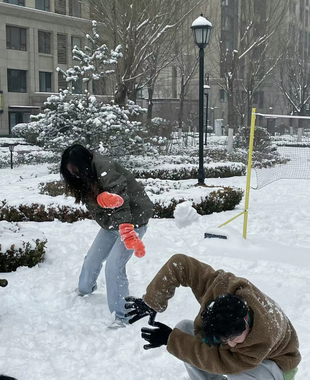 北方人打雪仗图片