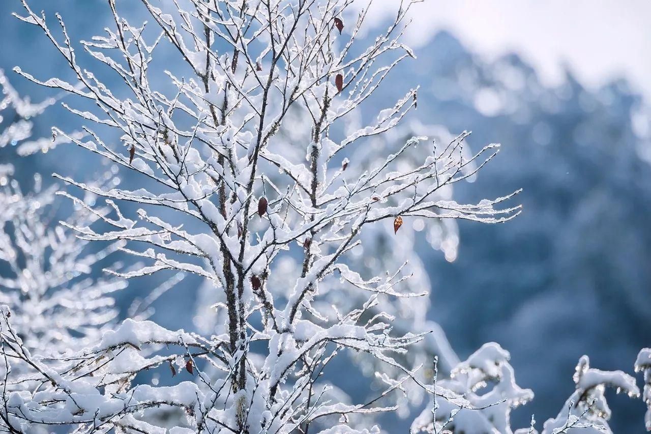 南方下雪了