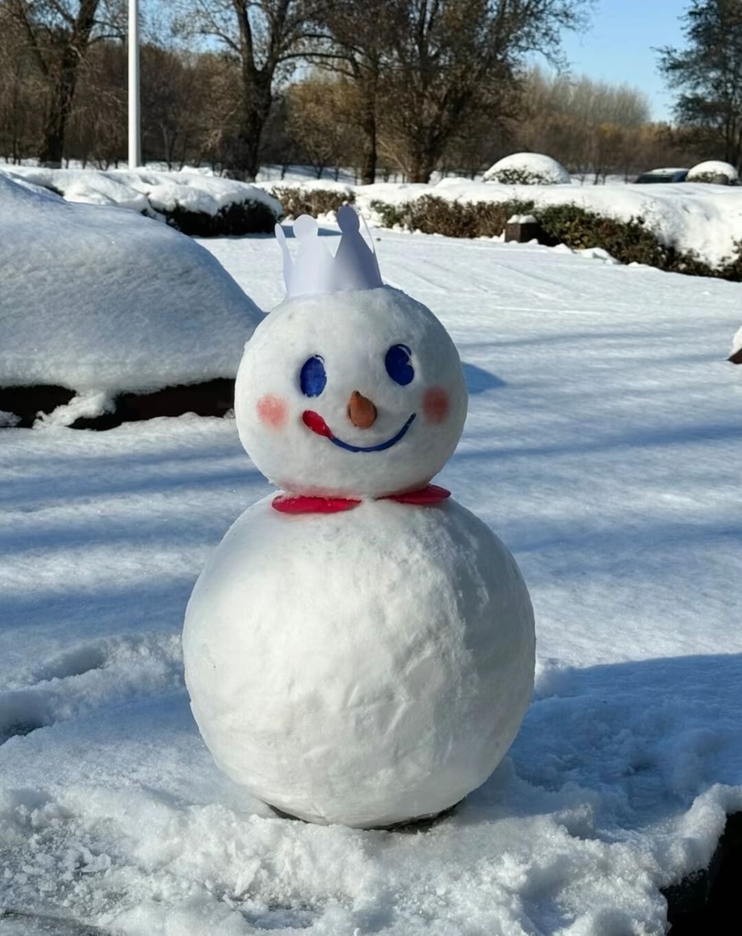 化了的雪人图片大全图片