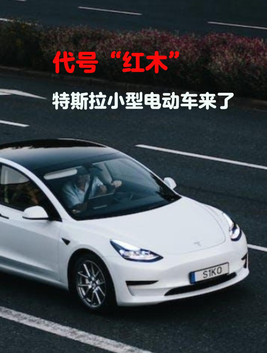 史上最便宜特斯拉小型电动车来了