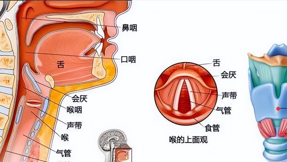 回顾:湖南大爷因手术切除声道,竟自己学会用食道发声,不可思议